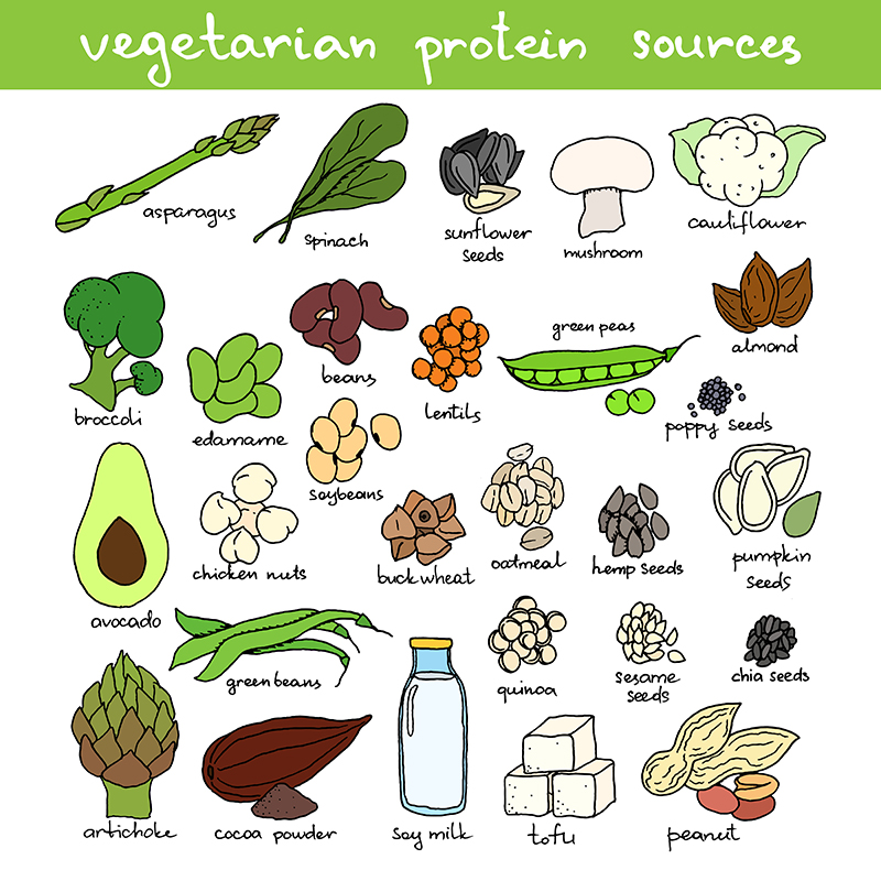 How To Get Protein From Non-Dairy Sources | SheSavvy